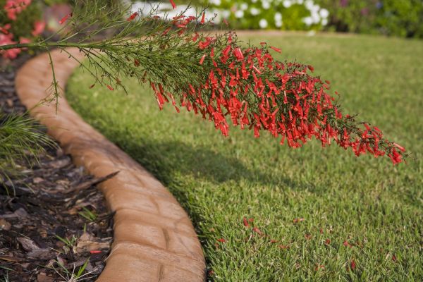 Brick Edging in Lakeville