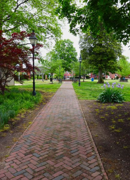 Brick Pathway Repair in Lakeville
