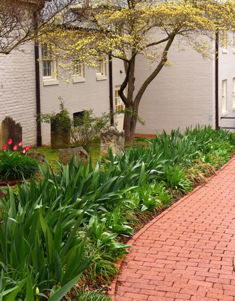 Brick Flatwork Repair in Lakeville